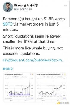 CryptoQuant CEO：疑似巨鲸在5分钟内购买了价值16亿美元的BTC - 屯币呀