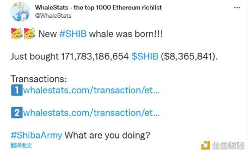 WhaleStats：市场崩盘后，加密巨鲸入购1710亿枚SHIB - 屯币呀
