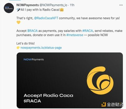 加密支付服务NOWPayments与Radio Caca达成战略合作 - 屯币呀